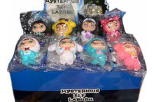 Load image into Gallery viewer, Musterious Elf Labubu Blind Box Figurine
